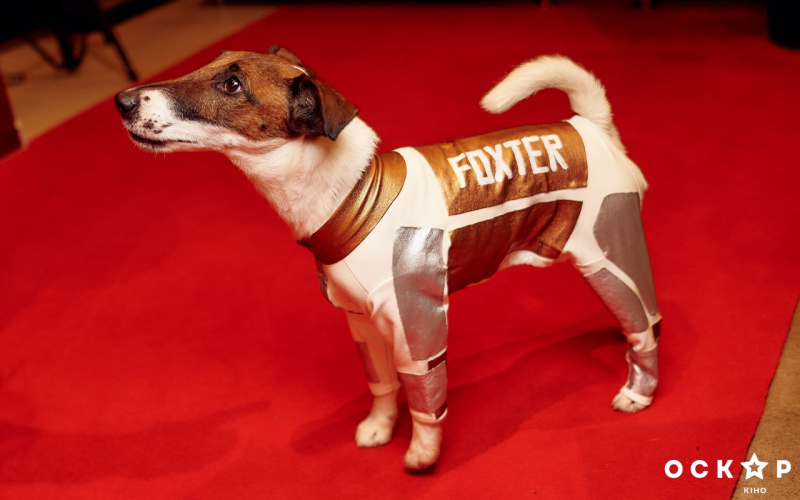 &quot;Звездные войны: Последние джедаи&quot;: Джамала и другие звезды посетили премьеру фильма