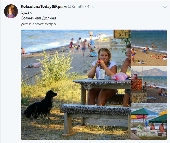 &quot;Идем на рекорды&quot; в сети показали грустные фото курортов в Крыму
