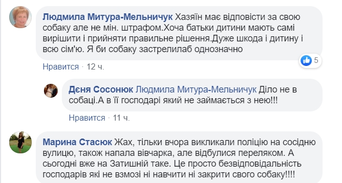 Собака зірвалася з прив'язі і кинулася на людей: постраждала п'ятирічна дитина (відео)