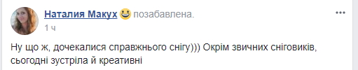 Трохи креативу: жителі Кривого рогу ліплять дивних істот з снігу