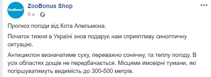 Сильные туманы: синоптики сообщили, когда в Украине закончится теплая осень
