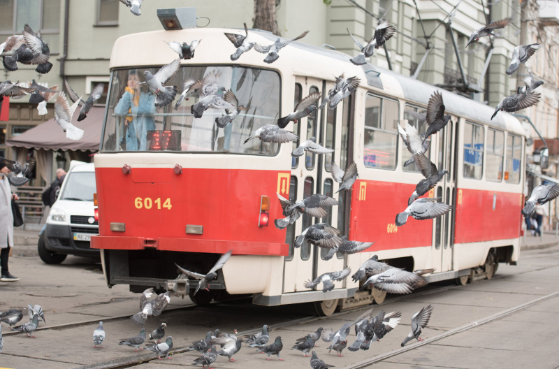 &quot;Моя ти доле чорнобрива!&quot;: таджицький співак представив історію кохання на вірші Шевченка (відео)