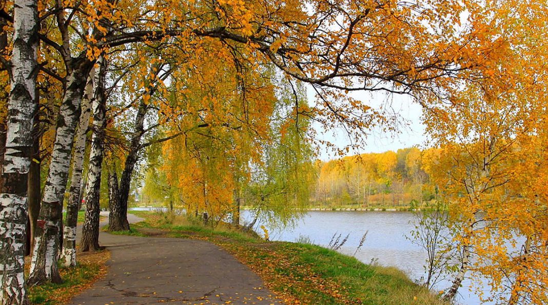 Затишне осіннє тепло: синоптики розповіли, яким буде початок тижня