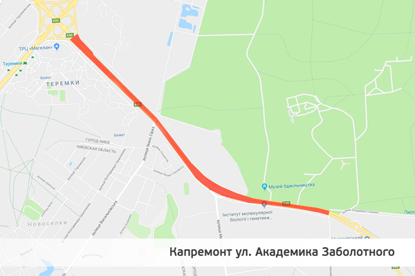 "Очевидне порушення норм!": інженер відверто оцінила якість ремонту доріг у Києві