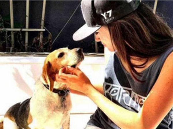 У Меган Маркл и принца Гарри долгожданное пополнение в семействе (фото)