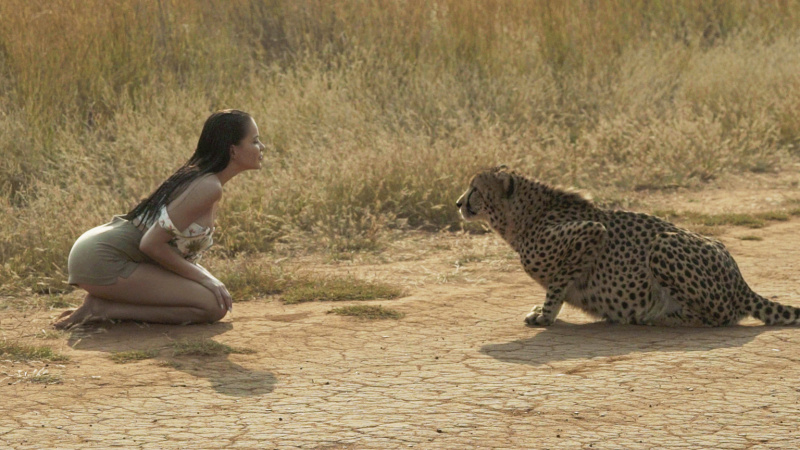 Украинская певица устроила дикие танцы с гепардом в самом сердце Африки (видео)