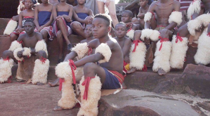 Украинская певица устроила дикие танцы с гепардом в самом сердце Африки (видео)