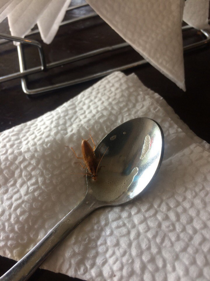 В Запорожской области посетители кафе заметили таракана на чайной ложке (фото)
