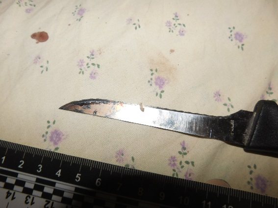 В Киеве семейная ссора закончилась пьяной поножовщиной