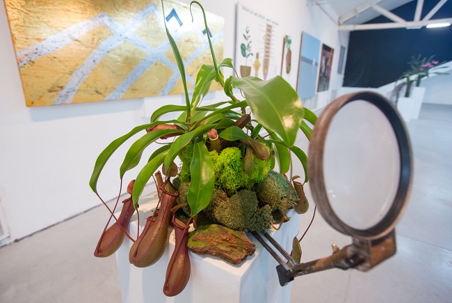 Выставка-лаборатория Ботаника