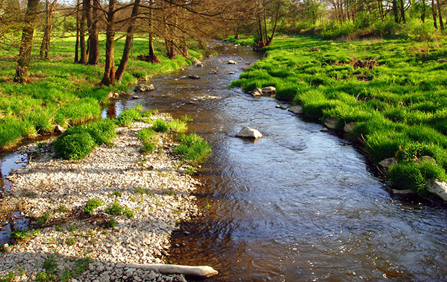Теплий Олексій: що категорично не можна робити 30 березня