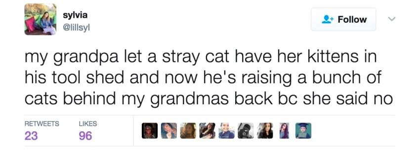 85-летний пенсионер приютил беременную кошку, обманув свою жену