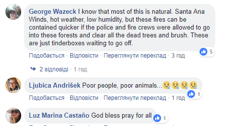 Пожары в Калифорнии: в сети показали видео масштабной огненной стихии в Малибу