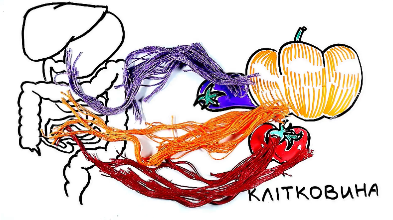 Як стати довгожителем: рецепт відомого патофізіолога