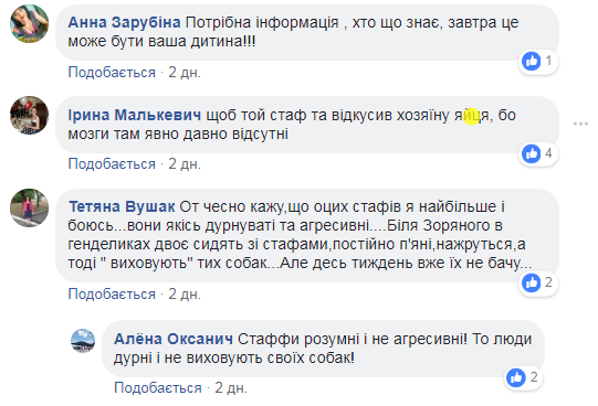 &quot;Мозги явно отсутствуют&quot;: в Умани бойцовских собак натравливают на бездомных животных