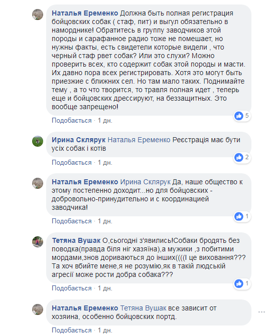 &quot;Мозги явно отсутствуют&quot;: в Умани бойцовских собак натравливают на бездомных животных