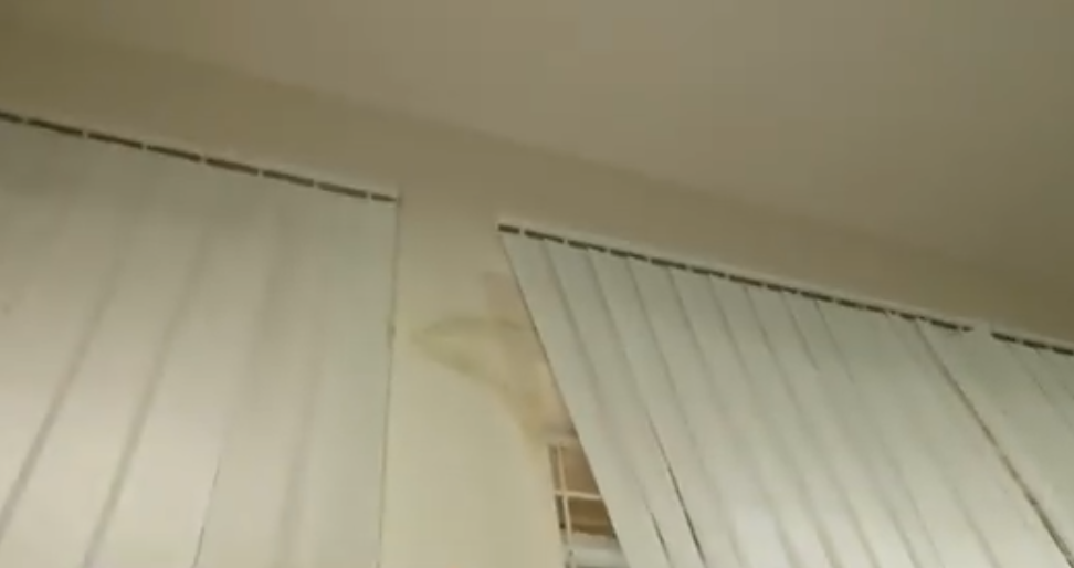 В Харькове под угрозой уничтожения оказались &quot;Запорожцы&quot; Репина