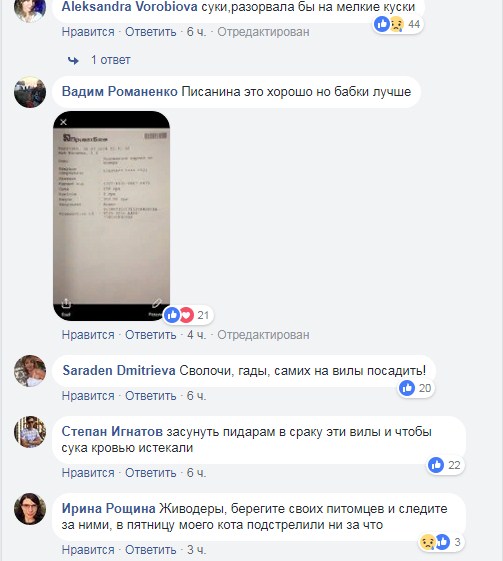 "Просто задовбала ця собака": під Києвом грабіжник проколов вилами тварину