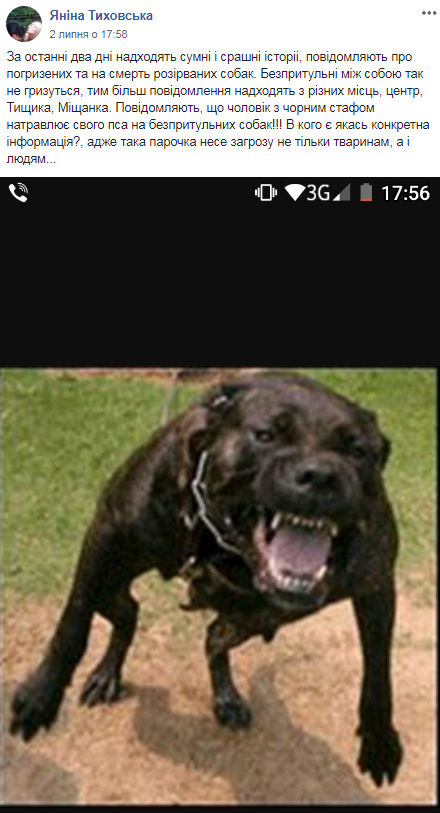 &quot;Мозги явно отсутствуют&quot;: в Умани бойцовских собак натравливают на бездомных животных