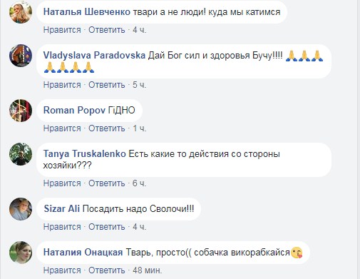 &quot;Просто задовбала ця собака&quot;: під Києвом грабіжник проколов вилами тварину