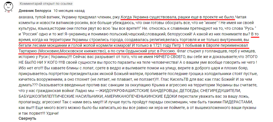 &quot;Рашки еще в проекте не было&quot;: на российского жителя завели уголовное дело за мысли об Украине