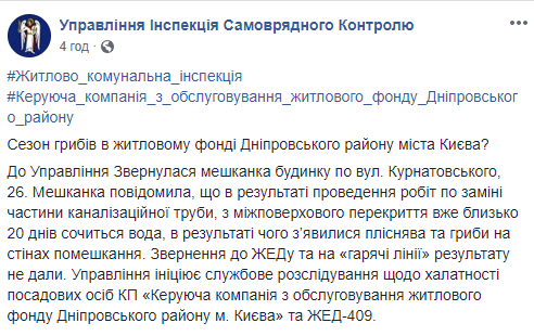 У киянки в квартирі після ремонту на стінах виросли гриби