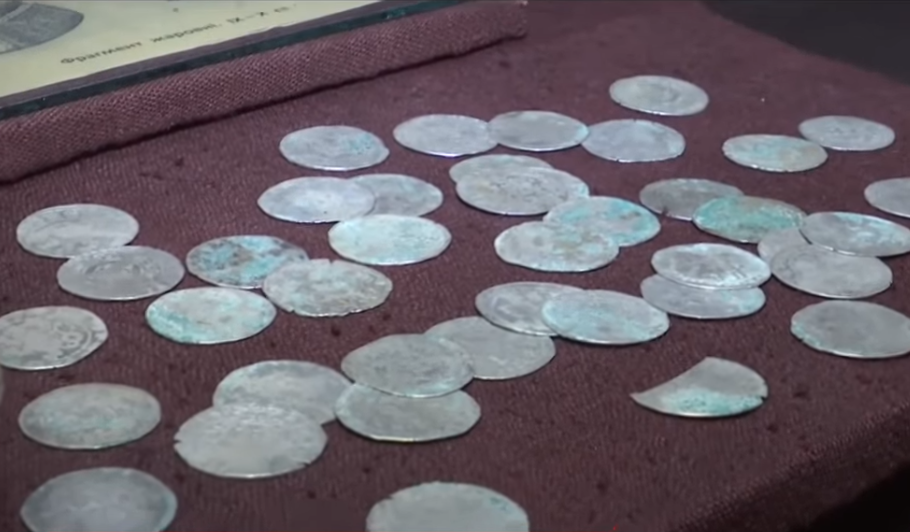 В Житомирской области пенсионеры нашли на своем огороде клад