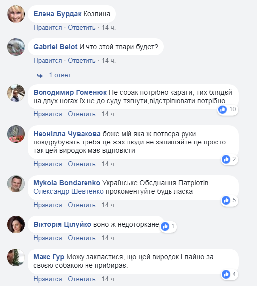 "До сих пор не могу очухаться": под Киевом партиец избил женщину на глазах у всех (видео)