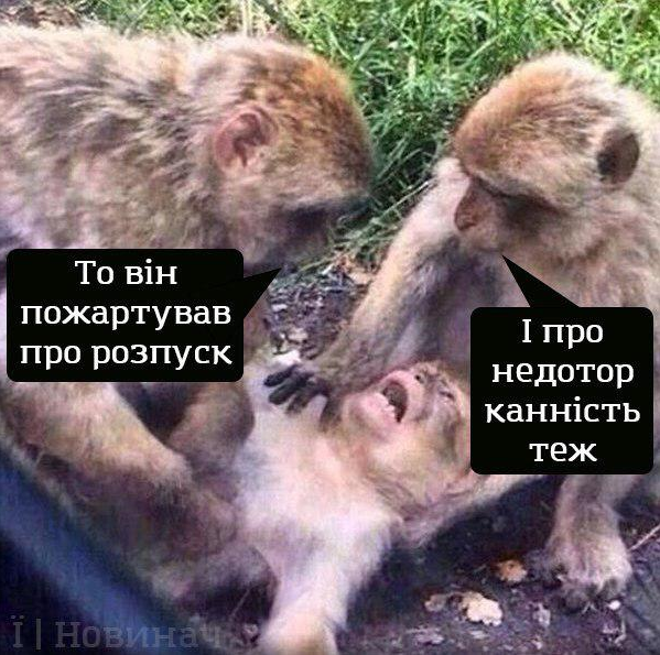 Инаугурация Зеленского: сеть &quot;взорвалась&quot; фотожабами