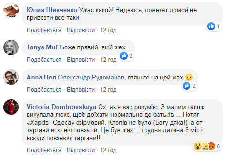 Люкс з клопами за 2 тисячі гривень: Укрзалізниця вскочила у черговий скандал (фото)