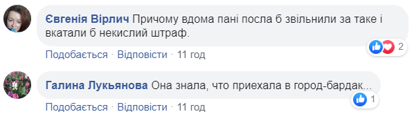Трохи порушувала: у Херсоні помітили авто посла Німеччини, припарковане на "зебрі" (фото)