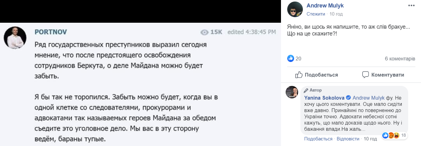 Звільнення "беркутівців": Яніна Соколова зробила емоційну заяву