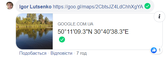 Особняк Ахметова під Києвом показали з висоти пташиного польоту: схоже на королівство