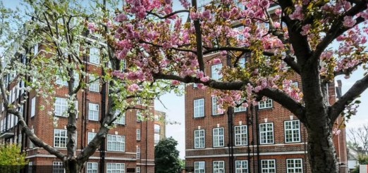 У топ-пропагандиста Путіна виявили "запасне" громадянство