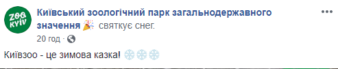 Зимова казка: у мережі показали приголомшливі фото з Київського зоопарку