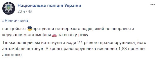 Відкрили пляжний сезон: поліцейські пірнали за нетверезим водієм у річку (фото)