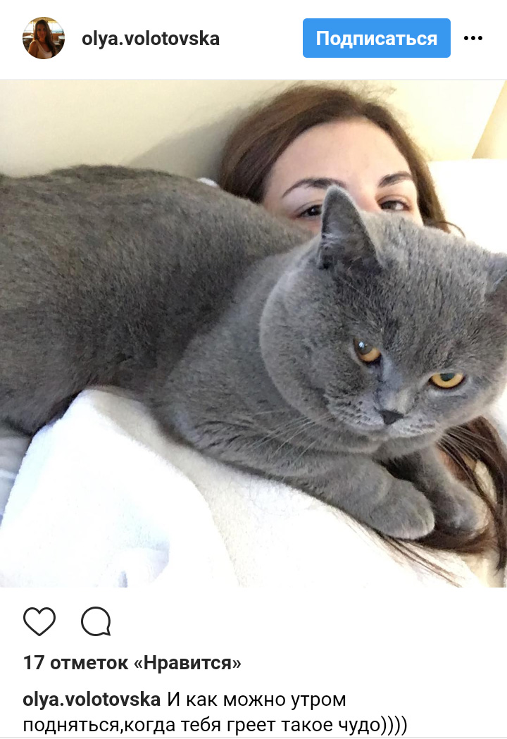 Ці котики точно знають, як зігріти господарів в холодну пору року (фото)