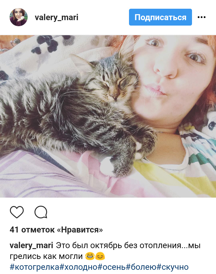 Ці котики точно знають, як зігріти господарів в холодну пору року (фото)