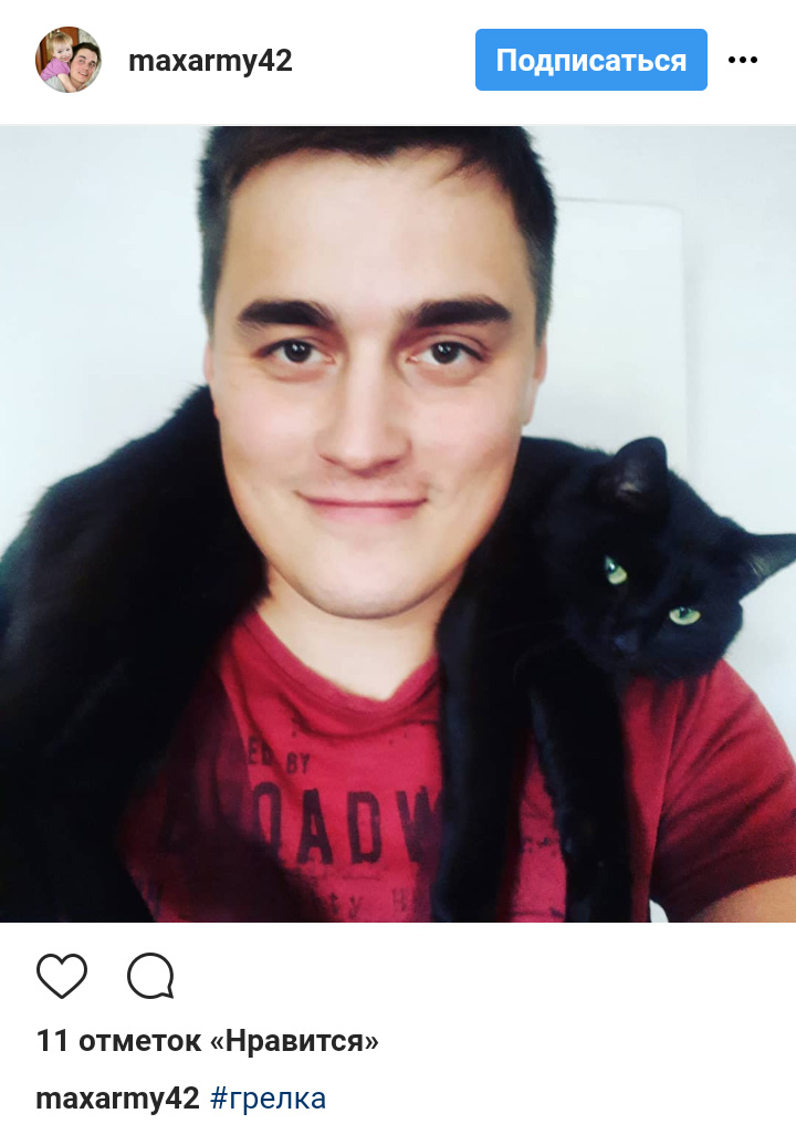 Ці котики точно знають, як зігріти господарів в холодну пору року (фото)