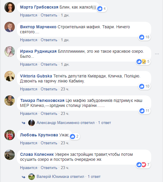 "Твари, ничего святого": жители Киева озабочены массовыми смертями уток в озерах (фото)