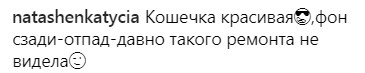 "Променяла кокошник на кошку": Оля Полякова удивила фанатов откровенным образом (фото)