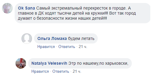 "Это по-нашему": в Харькове появилась необычная "зебра"