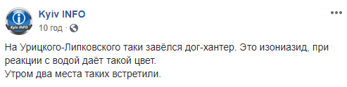 У Києві в мережі попередили про нових догхантерів