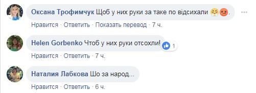 &quot;Деградация общества&quot;: в киевском обновленном парке украли деревья