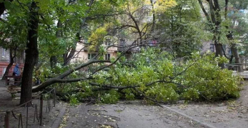 Под Харьковом водитель снял на видео пылевую бурю: обрушилась посреди дороги