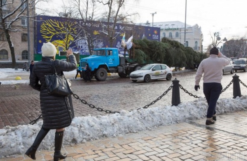 Размер имеет значение: киевляне в восторге от привезенной елки-"великана"