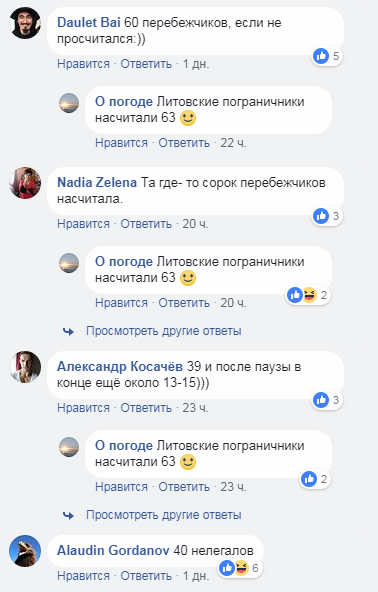 Прорыв кабанов через литовско-белорусскую границу: в сети появилось забавное видео