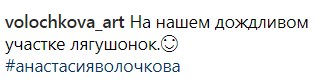 "Що природно, те не бридко": Анастасія Волочкова показала несподіваного вихованця (фото)