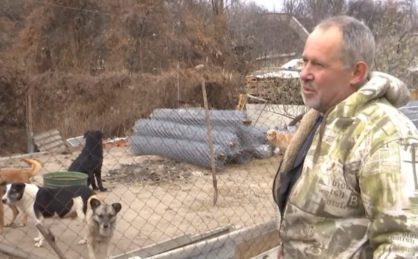 Врачи рассказали о состоянии покусанной собаками девочки в Запорожской области