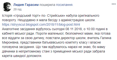 История про травлю 4-классницы в Стрыйской школе получила продолжение